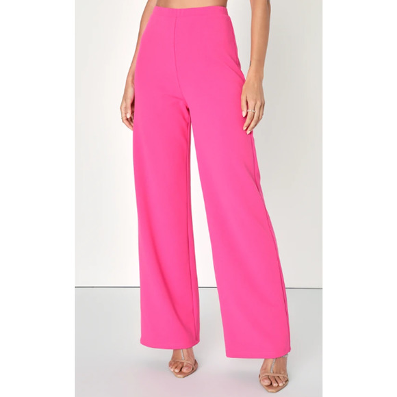 Lulus Pants - LULU'S SZ M Hot Pink Devoted to Me High Rise Wide-Leg Ankle Pant NEW B167